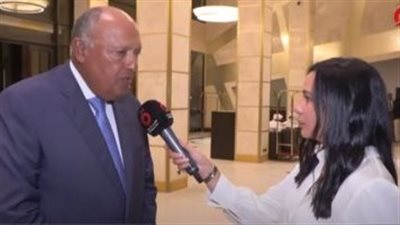 وزير الخارجية: الرؤية المصرية تشمل العمل بكل جهد لصالح الشعب السوداني