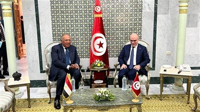 وزير الخارجية يعقد جولة مشاورات سياسية مع نظيره التونسي