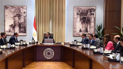 رئيس الوزراء يلتقي مسئولي شركة 