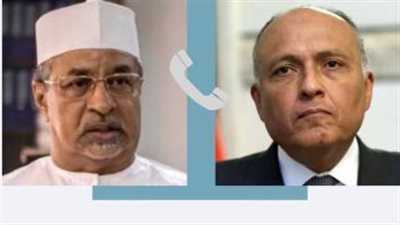 وزير الخارجية يؤكد تطلع مصر لاعتماد خطة عمل دول جوار السودان لحل الأزمة