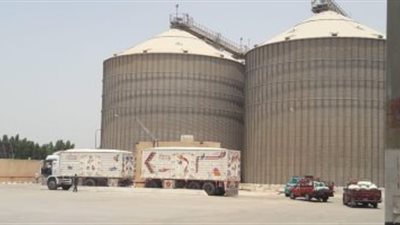 وزارة التموين تعلن انتهاء موسم توريد القمح المحلى 2023