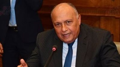 شكرى يستقبل المبعوث الأممي لدى اليمن بمقر الخارجية غدا