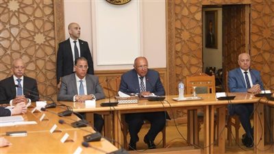 وزير الخارجية يلتقي بالسفراء المنقولين للعمل كرؤساء لبعثات مصر في الخارج 