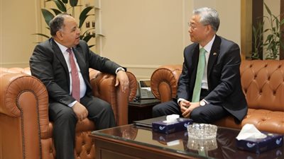 وزير المالية: حريصون على توسيع آفاق الاستثمارات الأجنبية في مصر