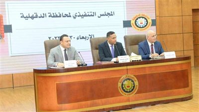 محافظ الدقهلية خلال اجتماع المجلس التنفيذي: كل في موقعه من أجل خدمة المواطنين 