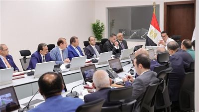 وزير الصحة يعقد اجتماعًا لمراجعة الاستعدادات النهائية لانعقاد المؤتمر العالمي للسكان والصحة والتنمية