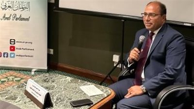 متحدث الخارجية يستعرض دور الدبلوماسية البرلمانية في الدفاع عن قضايا العرب