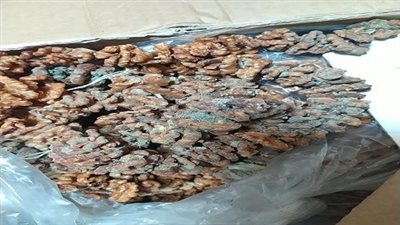 ضبط 2 طن حلويات مولد غير صالحة للاستهلاك الادمي بالغربية 