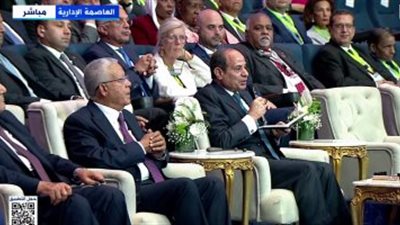 الرئيس السيسي لوزير المالية: أي رقم بتدفعه لتنظيم الأسرة يعود بالنفع على الدولة