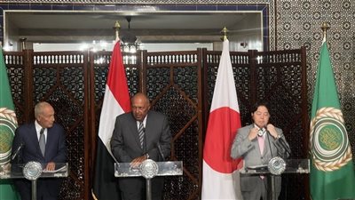  من خلال الحوار اليابانى العربي.. سامح شكري يكشف تفاصيل المباحثات المشتركة