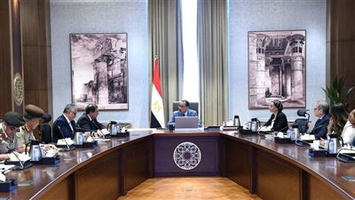 رئيس الوزراء يتابع موقف المشروعات الجديدة داخل المنطقة الصناعية الصينية 