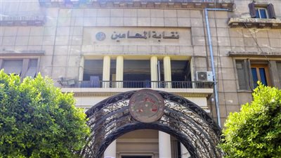 نقابة محامين أسوان تنفي وجود إضراب بمحكمة كوم أمبو الجزئية