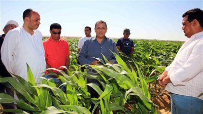 رئيس شركة تنمية الريف المصرى الجديد: المزيد من الدعم والخدمات والتيسيرات لفلاحى ومزارعى مشروع الـ ١.٥ مليون فدان 