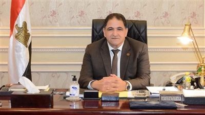 برلماني: قرارات السيسي بزيادة الرواتب والمعاشات هدفها حماية البسطاء وتخفيف الأعباء المعيشية