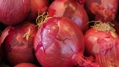 موعد انخفاض الأسعار.. مفاجآت جديدة حول البصل 