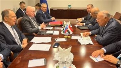 شكرى ولافروف يبحثان التعاون المصري الروسي في مجال البترول والغاز الطبيعي