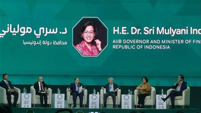 وزير المالية: نتطلع لدور أكبر للبنوك والمؤسسات الدولية متعددة الأطراف فى تحفيز القطاع الخاص 