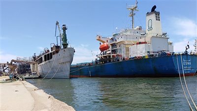 ميناء سفاجا يستقبل 63 الف طن قمح روسي.. ويصدر 38 الف طن فوسفات للصين