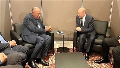 وزير الخارجية يلتقي مع رئيس مجلس القيادة الرئاسي اليمني