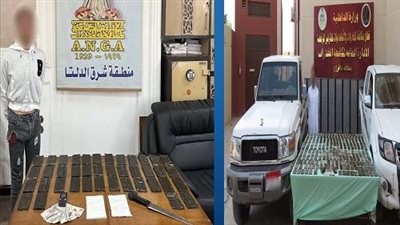 بمحافظتي مطروح والدقهلية.. ضبط عناصر إجرامية بتهمة الإتجار في المواد المخدرة