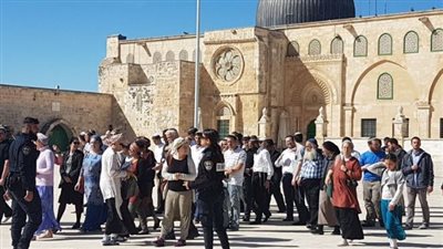 مستوطنون إسرائيليون يؤدون طقوسا تلمودية في محيط المسجد الأقصى المبارك