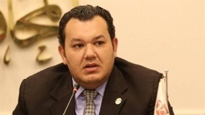 برلماني: مصر تنعم بالأمن والاستقرار مع الرئيس السيسي ومسيرات ضخمة لدعمه بالانتخابات الرئاسية