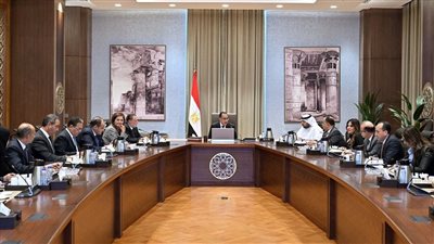 رئيس الوزراء يلتقي وزير الاستثمار بدولة الإمارات العربية المتحدة