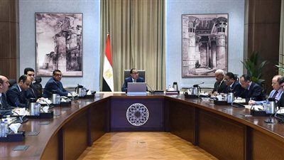 رئيس الوزراء يتابع الموقف التنفيذي لعدد من المشروعات بمحافظة السويس