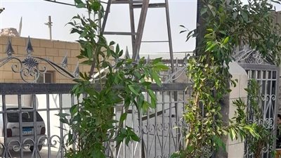 البيئة تبدأ بأعمال تشجير الكيلو الأول بشق الثعبان بمحافظة القاهرة