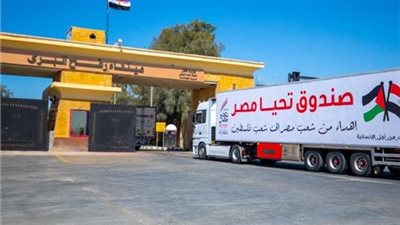 مصر تدعو لضرورة توفير النفاذ العاجل والآمن للمساعدات الإنسانية إلى قطاع غزة