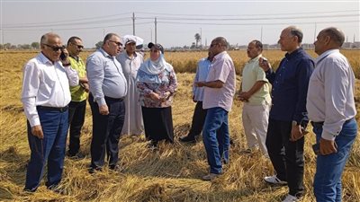 الزراعة تتابع الاستعداد لموسم زراعة المحاصيل الشتوية وبدء الدورة الزراعية فى القمح 