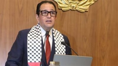 النائب علاء عابد: أين المجتمع الدولى والبرلمان الأوروبى من أحداث فلسطين