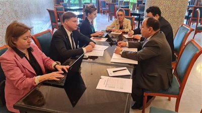 وزير المالية: آفاق رحبة للاستثمار المحلية والأجنبية فى مصر