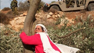 نعمل على تأسيس الدولة الفلسطينية.. 