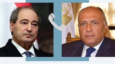 وزير الخارجية: وصول المساعدات الإنسانية للفلسطينيين فى غزة ضرورة لا غنى عنها