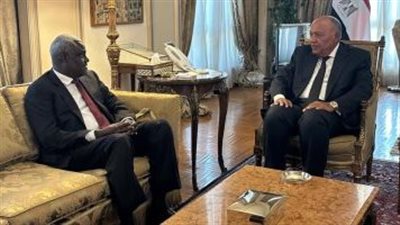 شكري يبحث مع موسى فقيه مجمل مُستجدات الأوضاع السياسية والأمنية فى أفريقيا