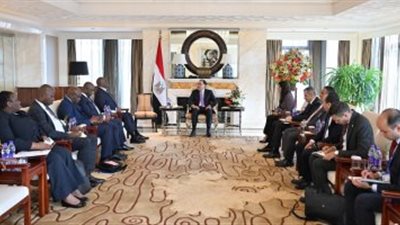 رئيس الوزراء يلتقى رئيس البنك الأفريقى للتصدير والاستيراد 