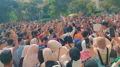 بالصور.. مظاهرة غضب ووقفm احتجاجية لأهالى الدقهلية لرفض العدوان الإسرائيلى على غزة 