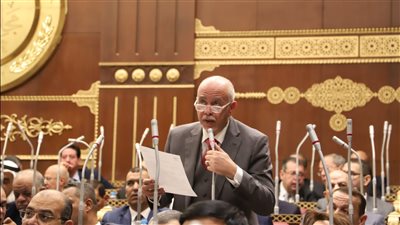 النائب حازم الجندى: مصر شعبا وقيادة أحبطت مخططات التهجير والتصفية للقضية الفلسطينية