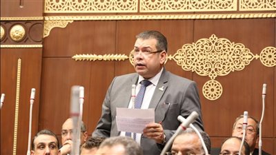 النائب محمد صبري: مصر لم ولن تقف مكتوفة الأيدي أمام العدوان الإسرائيلي على الشعب الفلسطيني