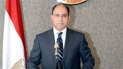 السفير أحمد أبو زيد: مصر تبذل قصارى جهدها لضمان وصول المساعدات الإنسانية لغزة