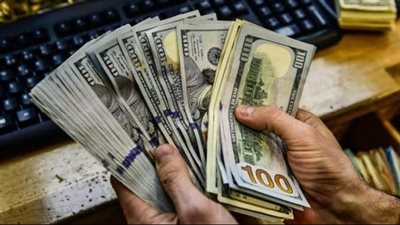 بمديريتي امن الجيزة والبحيرة.. حملة أمنية لمكافحة جرائم الإتجار فى النقد الأجنبى 