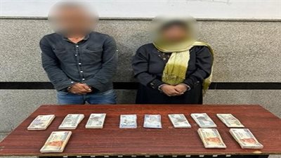 جهود الأجهزة الأمنية لمكافحة جرائم السرقات بالقاهرة