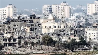 نائبة عن حماة الوطن: الشعب الفلسطينى يتعرض لأبشع حملات الإبادة الجماعية