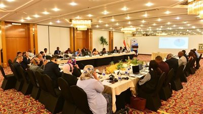  التنمية المستدامة وتحسين جودة الخدمات وكفاءة الاتصالات فى مجال النقل الجوى على رأس أولويات الأجندة الأفريقية