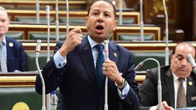 النائب حسن عمار: جهود مصر لصالح القضية الفلسطينية يعكس التزامها التاريخي والإنساني في مساندة الأشقاء