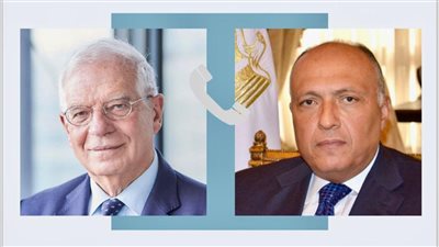 سامح شكرى يؤكد لوزيرى خارجية روسيا ونيوزيلاندا ضرورة الهدنة الفورية فى غزة