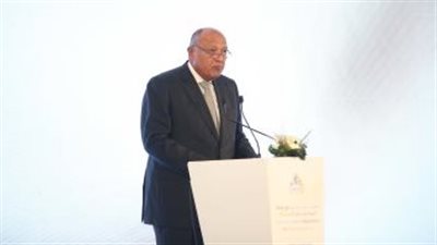 سامح شكرى لـ