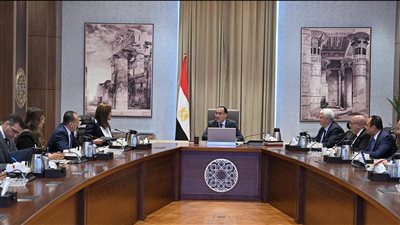 رئيس الوزراء يستعرض آليات الشراكة بين وزارة التعليم العالي والقطاع الخاص بالتعاون مع صندوق مصر السيادي