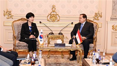 وكيل مجلس النواب يلتقي نائبة رئيس الجمعية الوطنية بكوريا الجنوبية